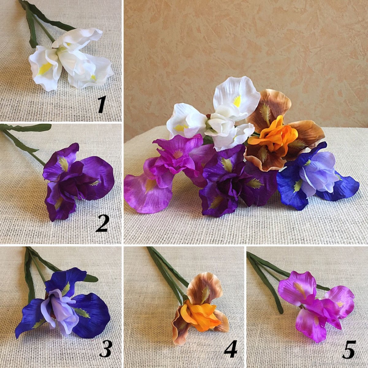 Одиночный Ирис
