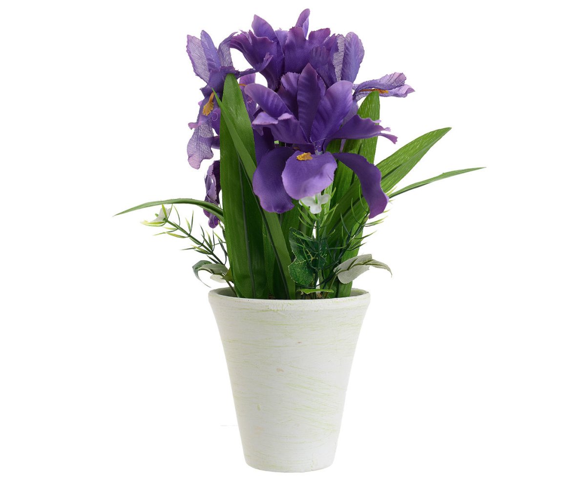 Артикул Lefaux Iris