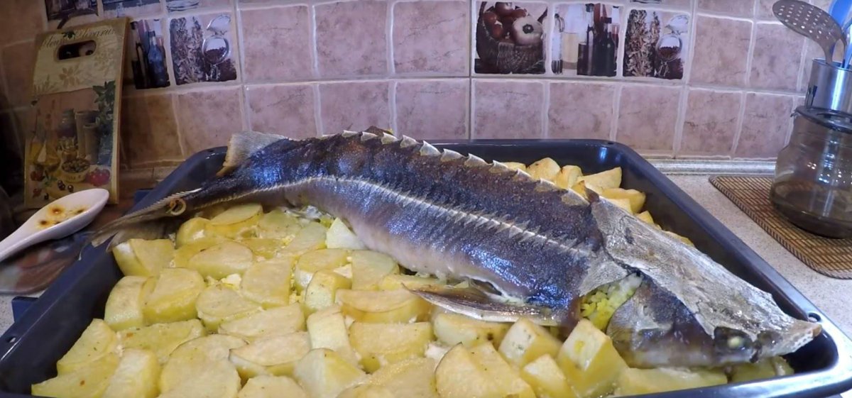 Осетровое мясо