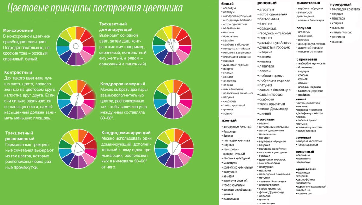 Колористика цветника