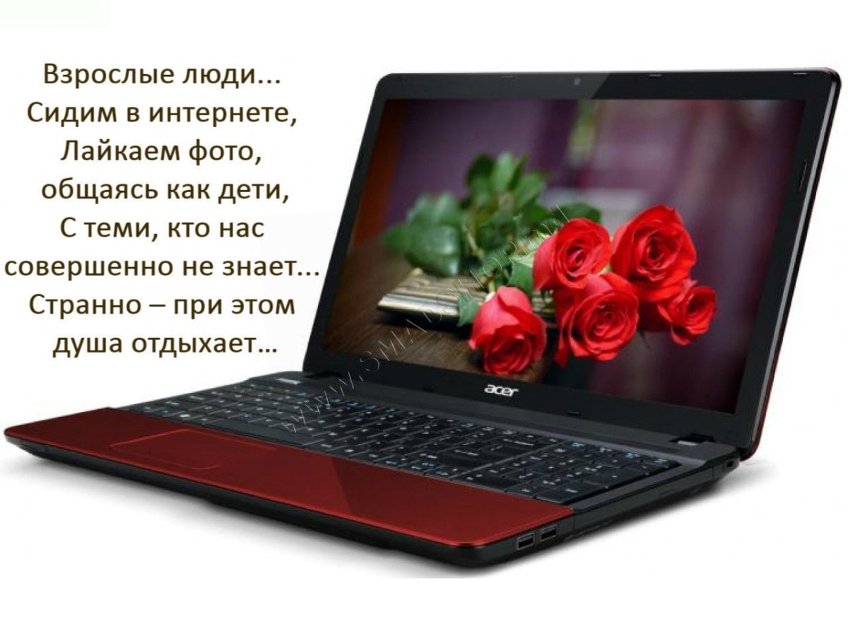 Друзья в интернете пожелания