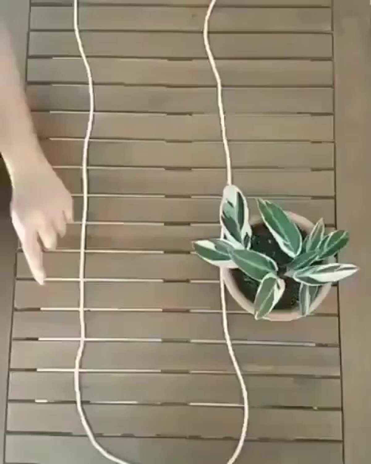 Кашпо повесить на веревочке