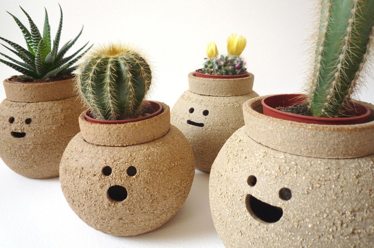 Cactus Pot горшки кактусы Суккуленты