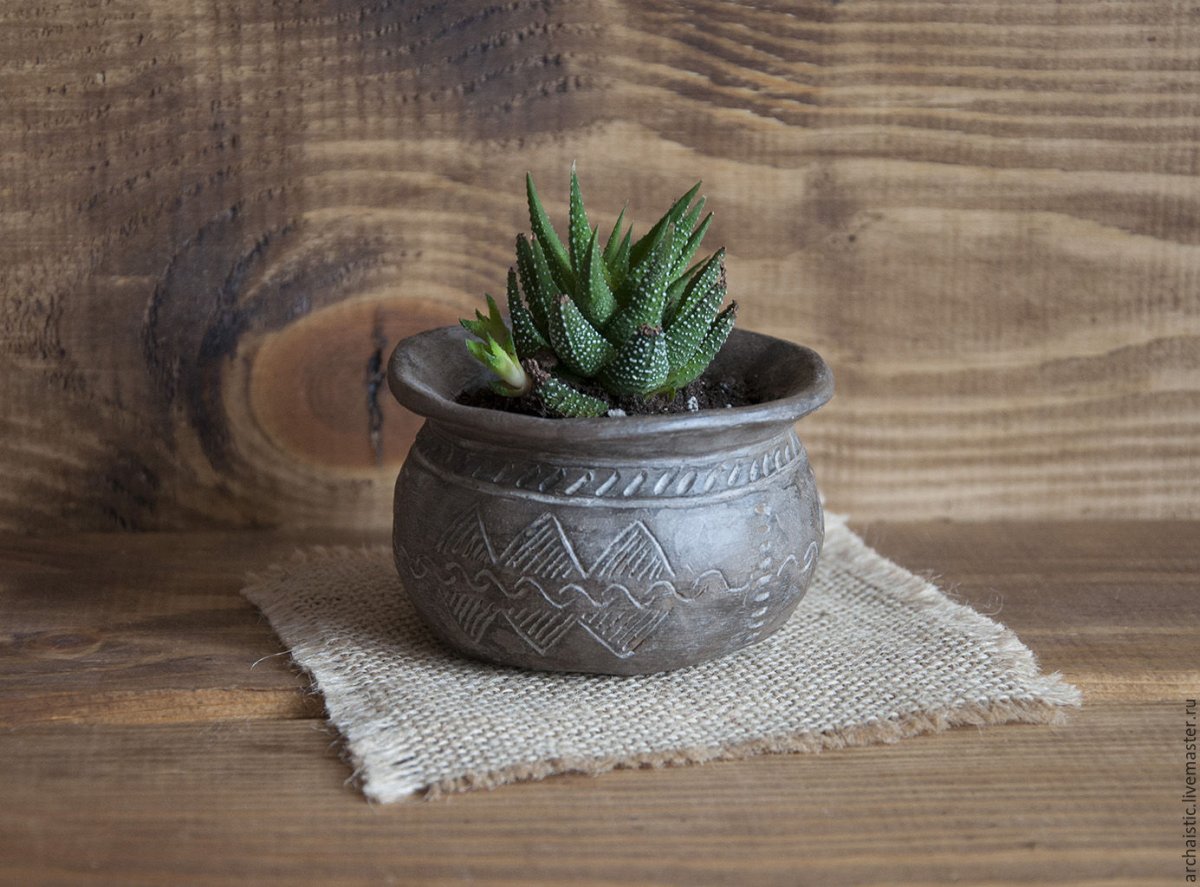 Cactus Pot горшки кактусы Суккуленты