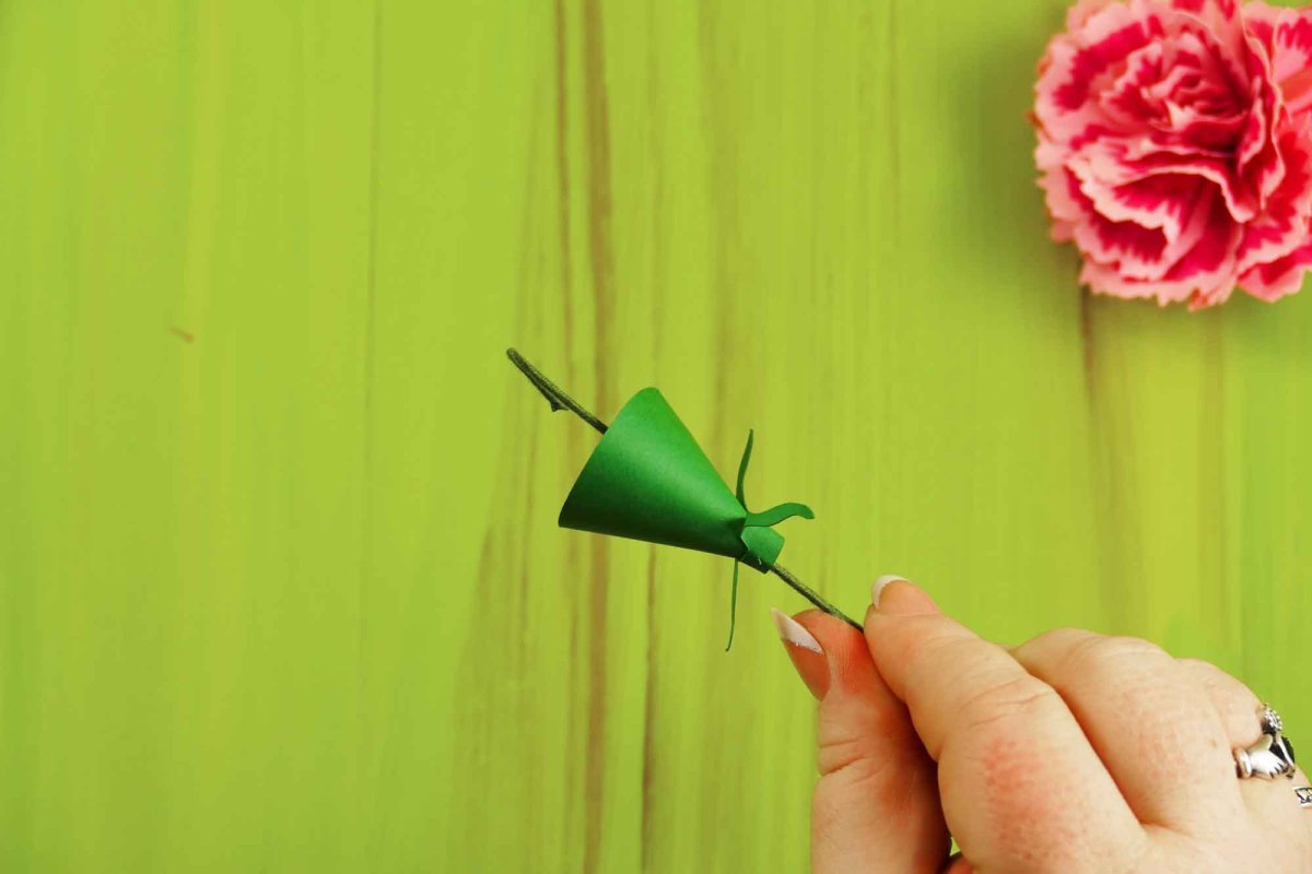 Carnation Craft