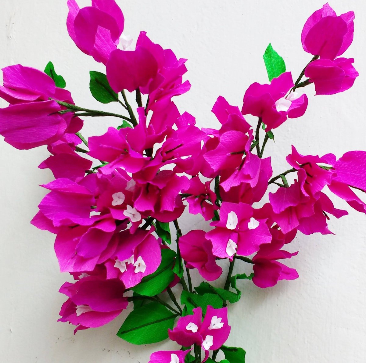 Бугенвиллия paper Flower