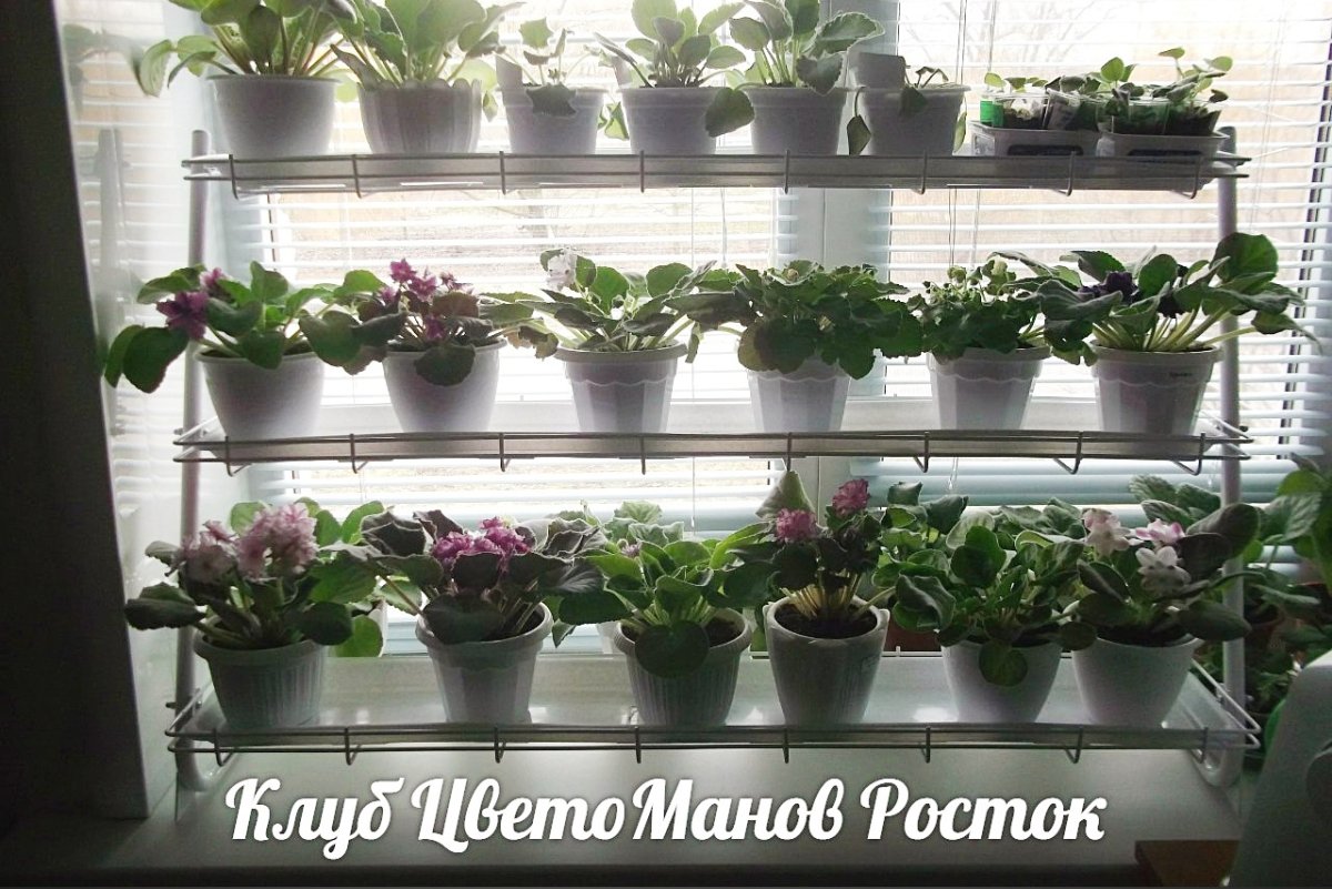 Полочки для цветов на подоконник
