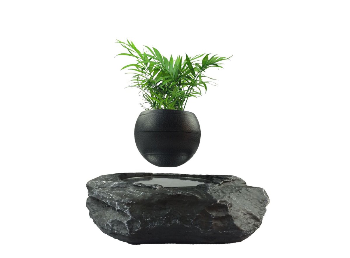 Levitating Plant прозрачные