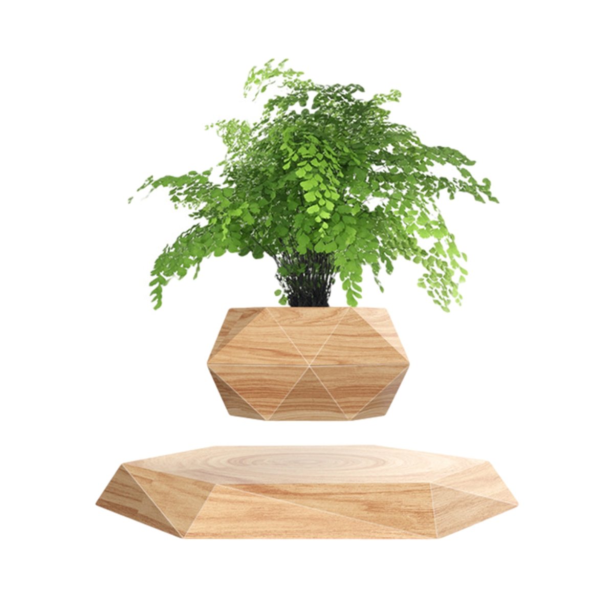 Levitating Plant прозрачные