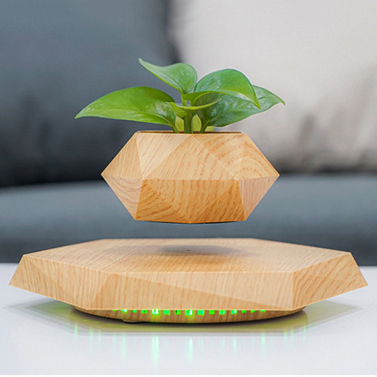 Левитирующие растения LEPLANT