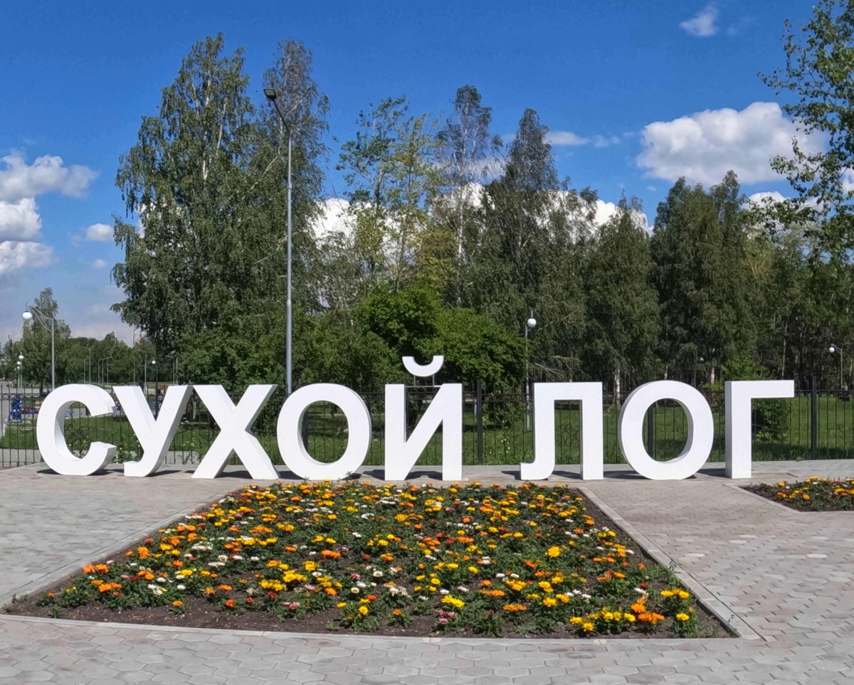 Сухой Лог (город)