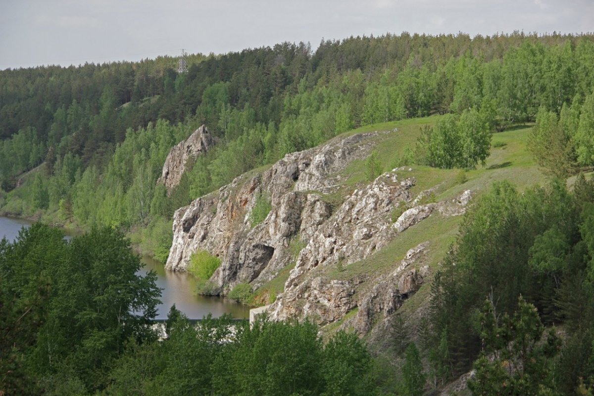 Разбросанные цветы