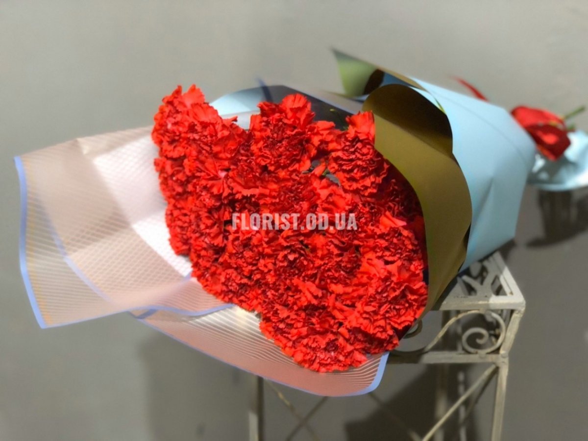 Гвоздики подарить девушке