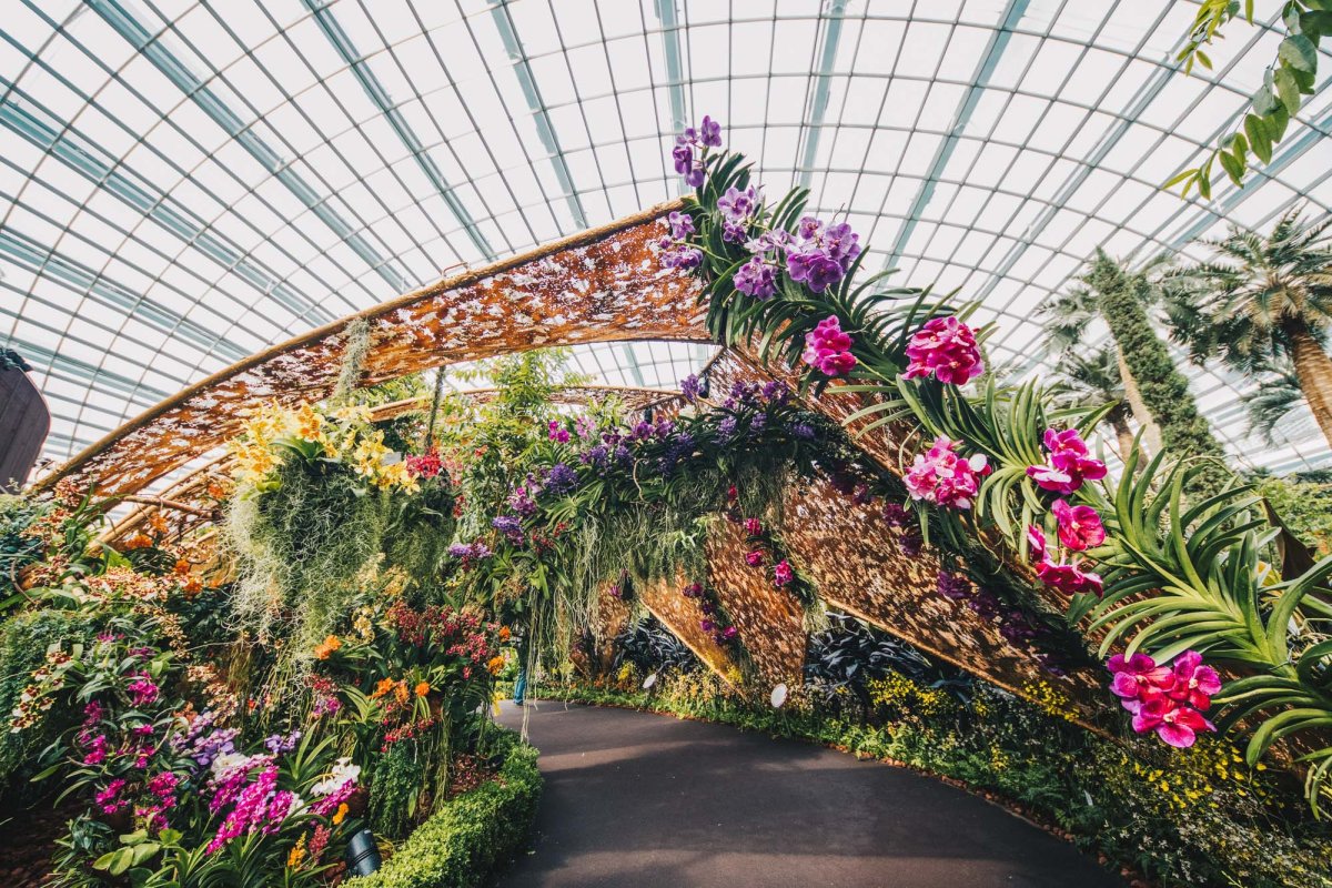 Цветочный фестиваль в Сингапуре (Singapore Garden Festival)