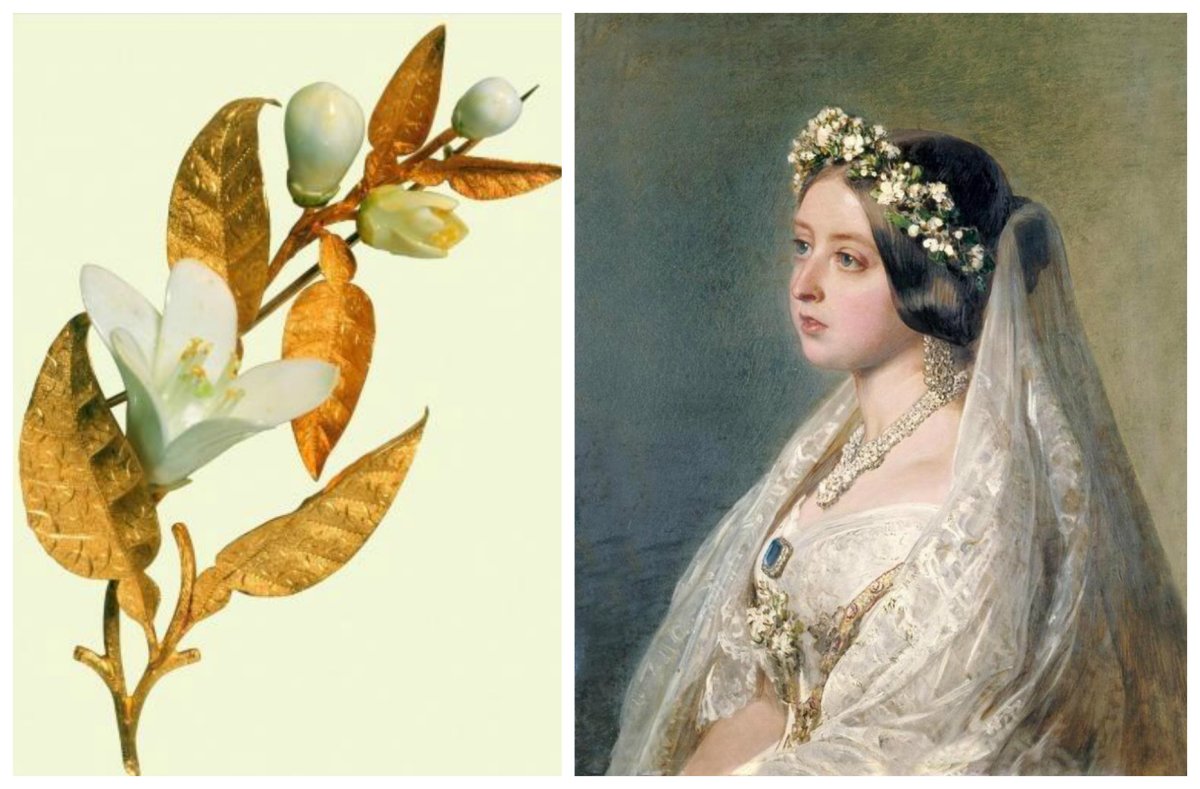 Королева Виктория флердоранж