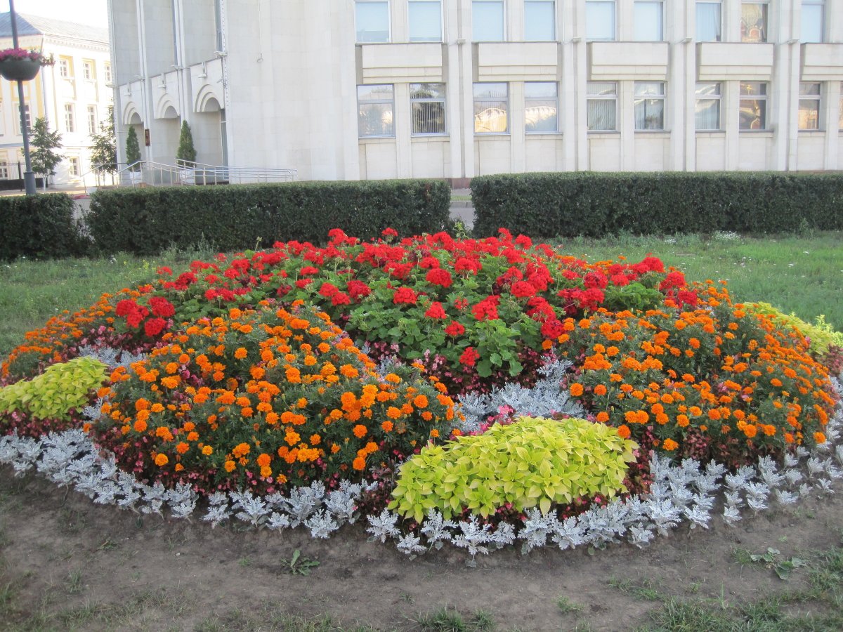 Клумбы на пришкольном участке