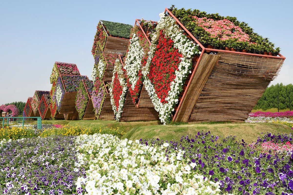 Сингапур, оранжерея 'Flower Dome'.
