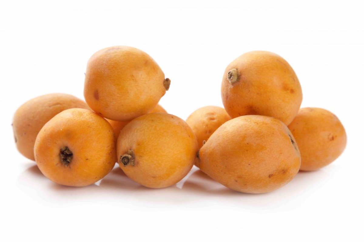 Мушмула японская Eriobotrya japonica