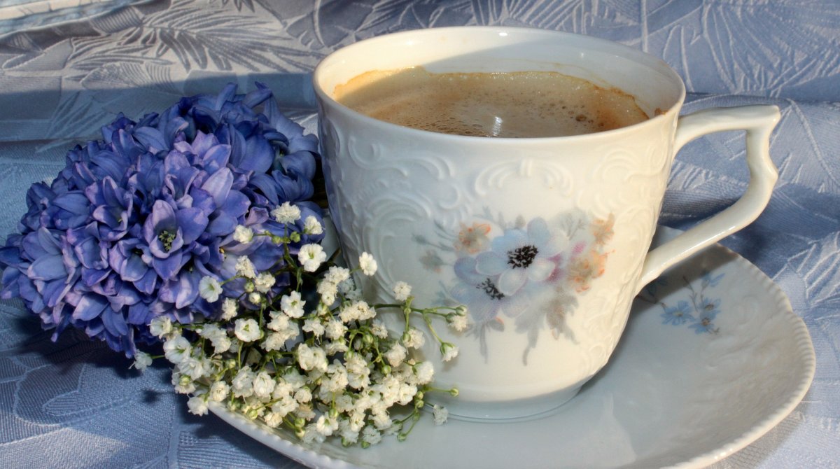 Подснежники и чай