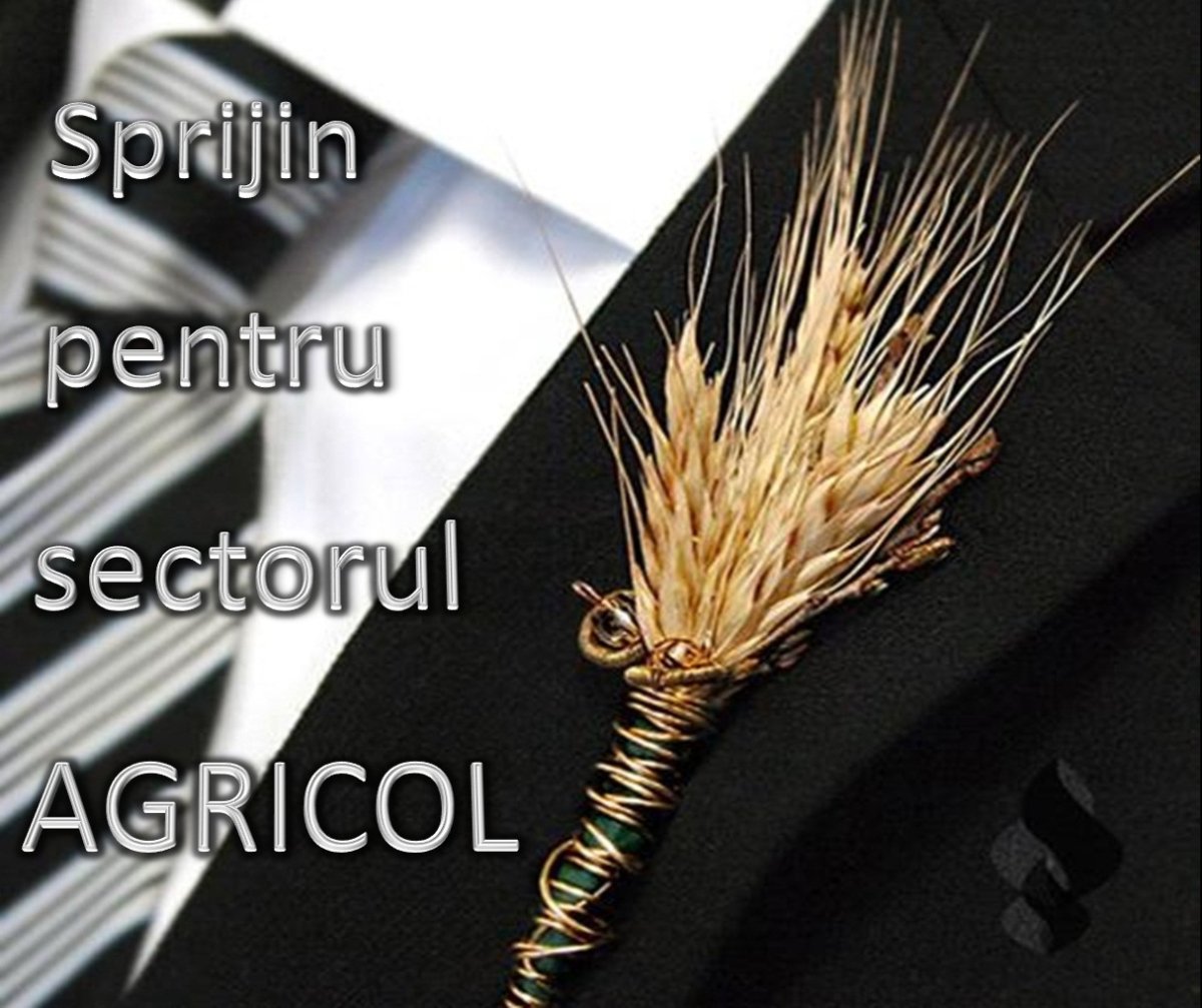 Сухоцветы Wild grass пшеница