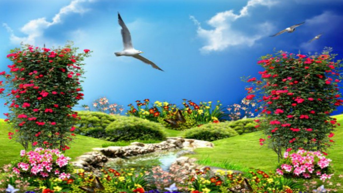 Birds and Flowers 4к