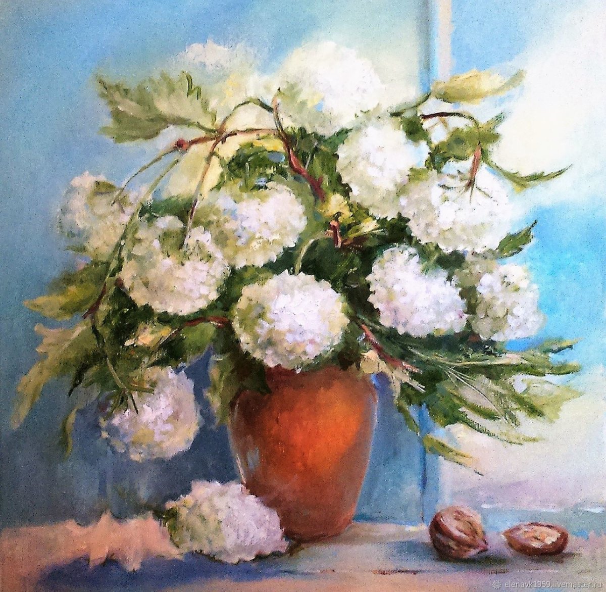 Гортензия бульденеж кустарник