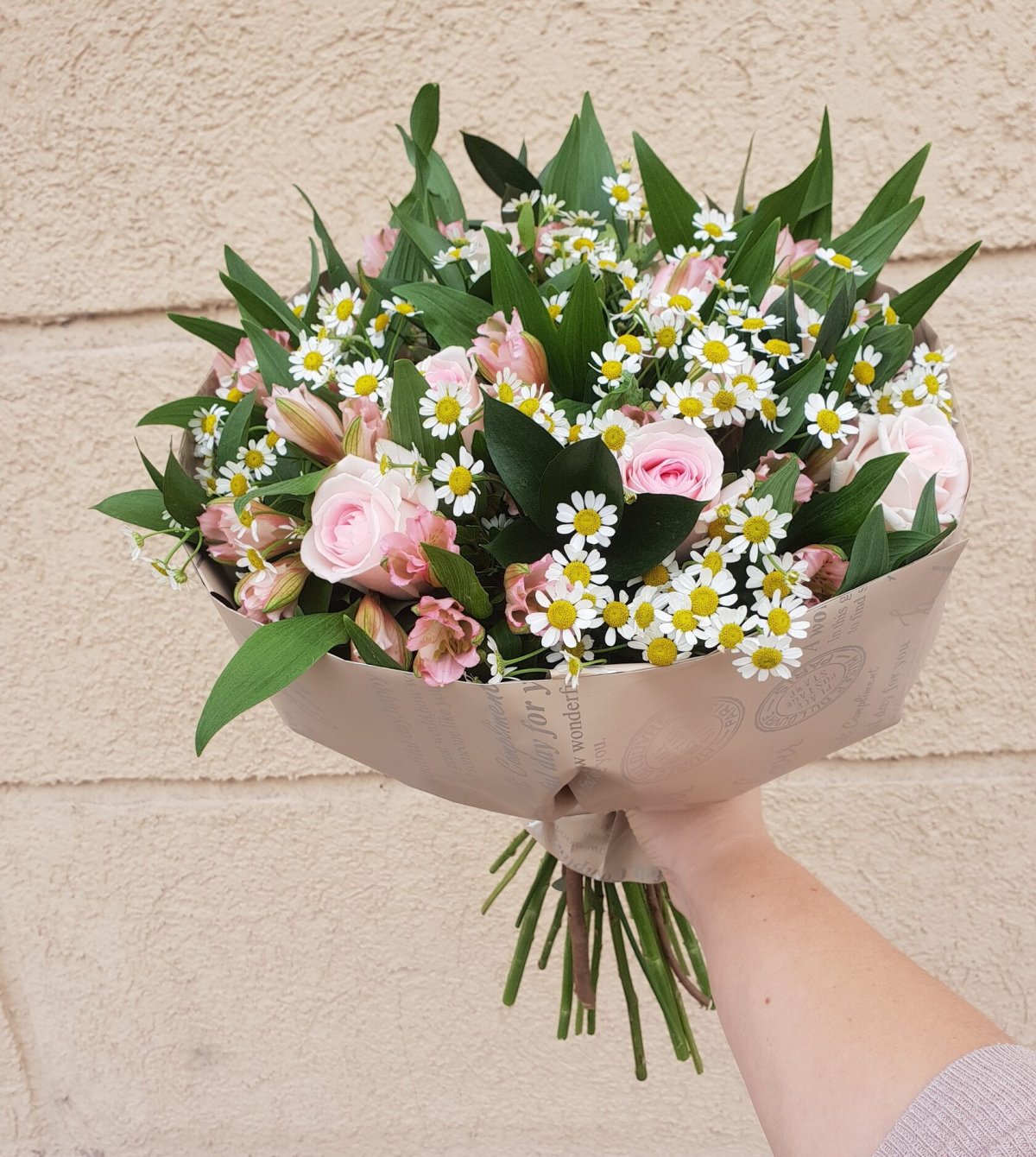 Пижма обыкновенная (Tanacetum vulgare)