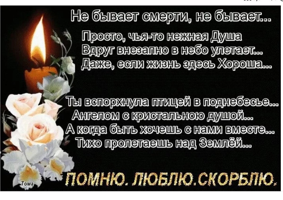 Помним любим скорбим стихи