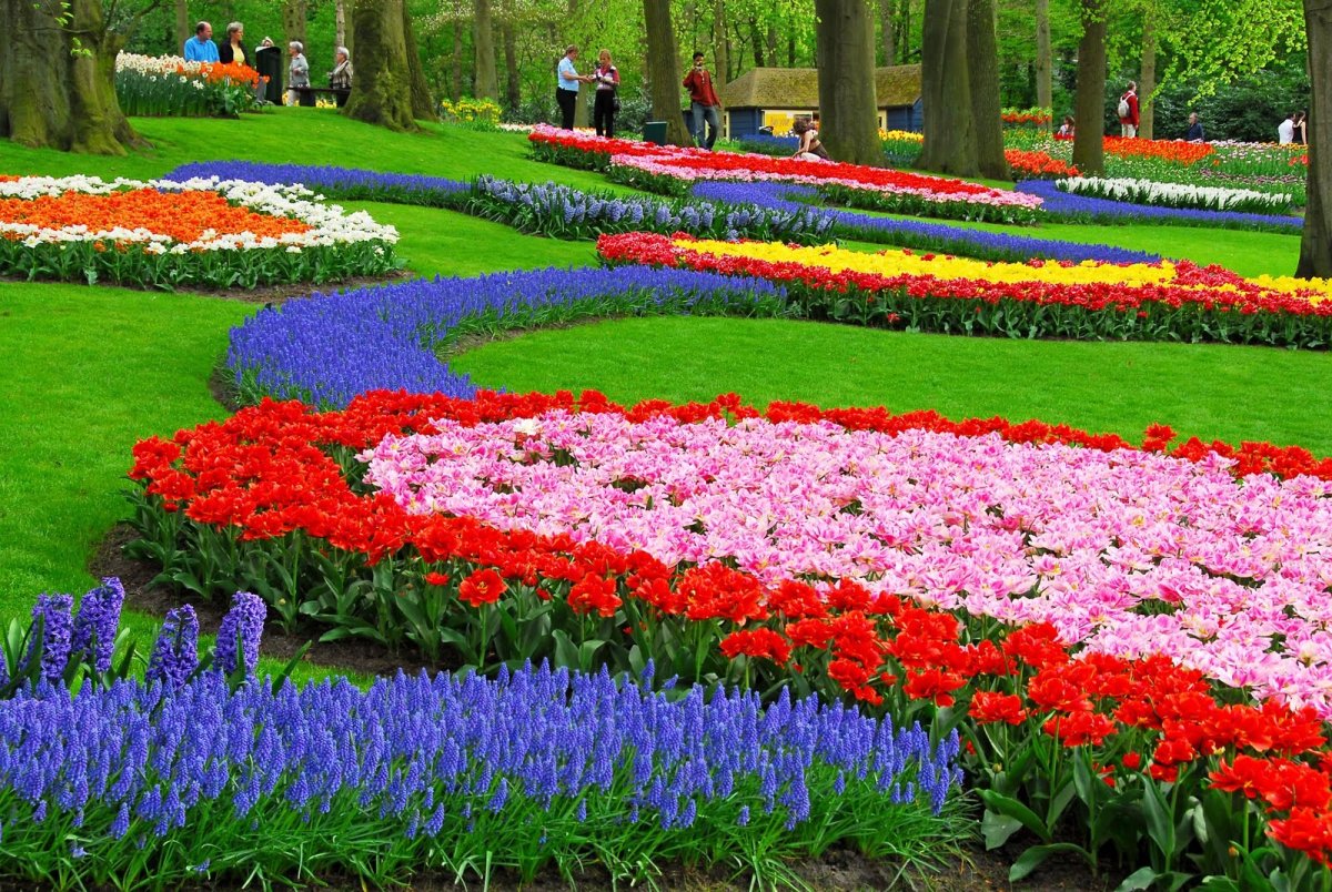 Keukenhof Tulip Garden