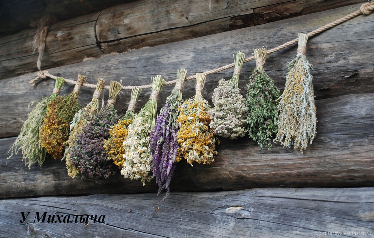 Роза Кайли