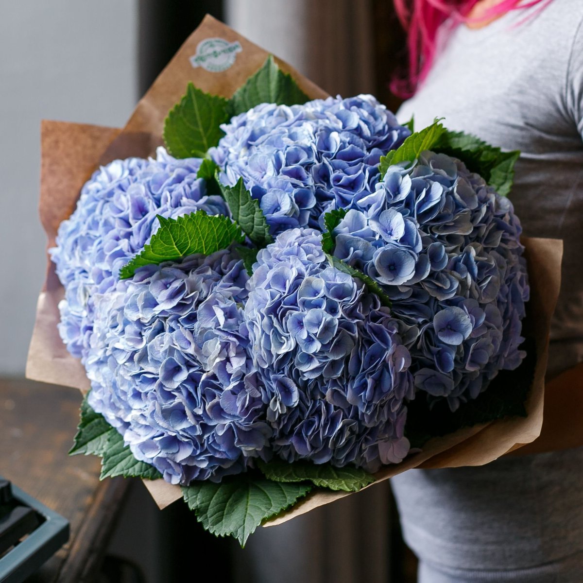 Гортензия (Hydrangea) срезка