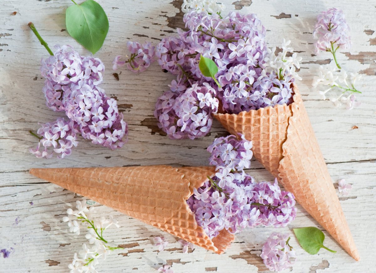 Макаронс Лавандовые оттенки