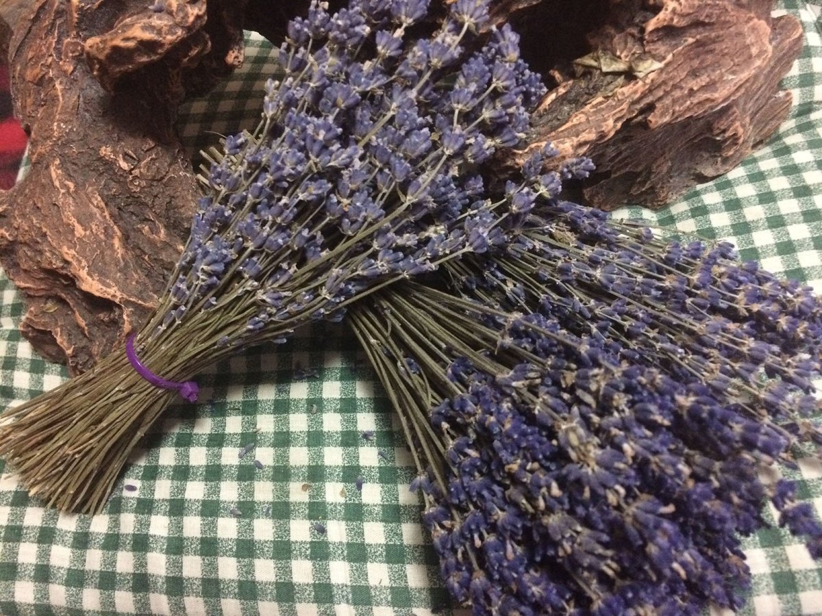 Lavendel dried 100gr
