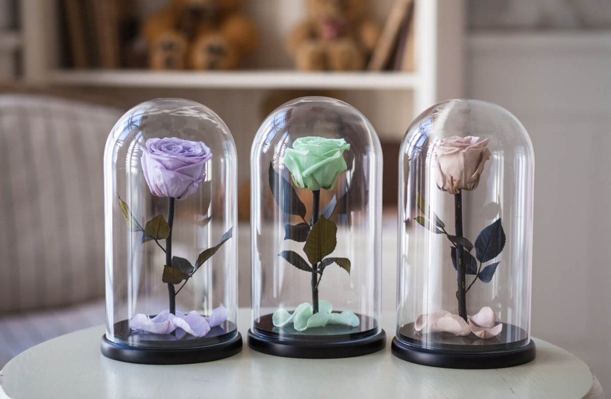 Preserved Flowers