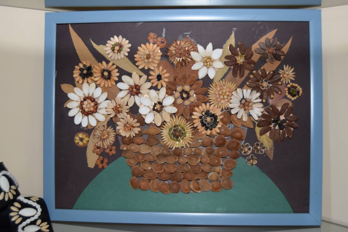 Подсолнух с семечками