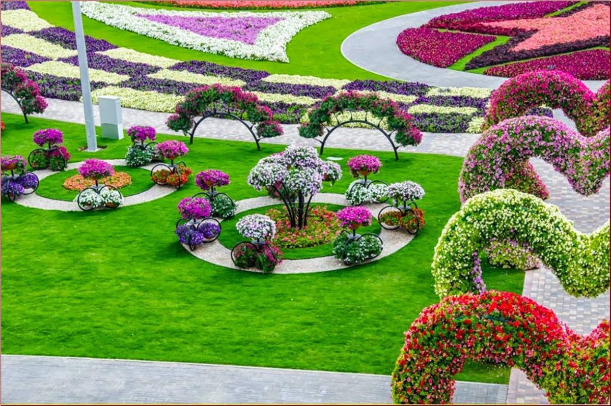 Розы и хвойники в ландшафтном