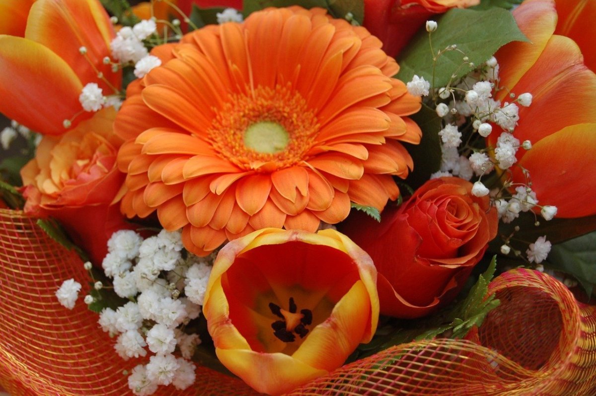 Оранжевый букет цветов