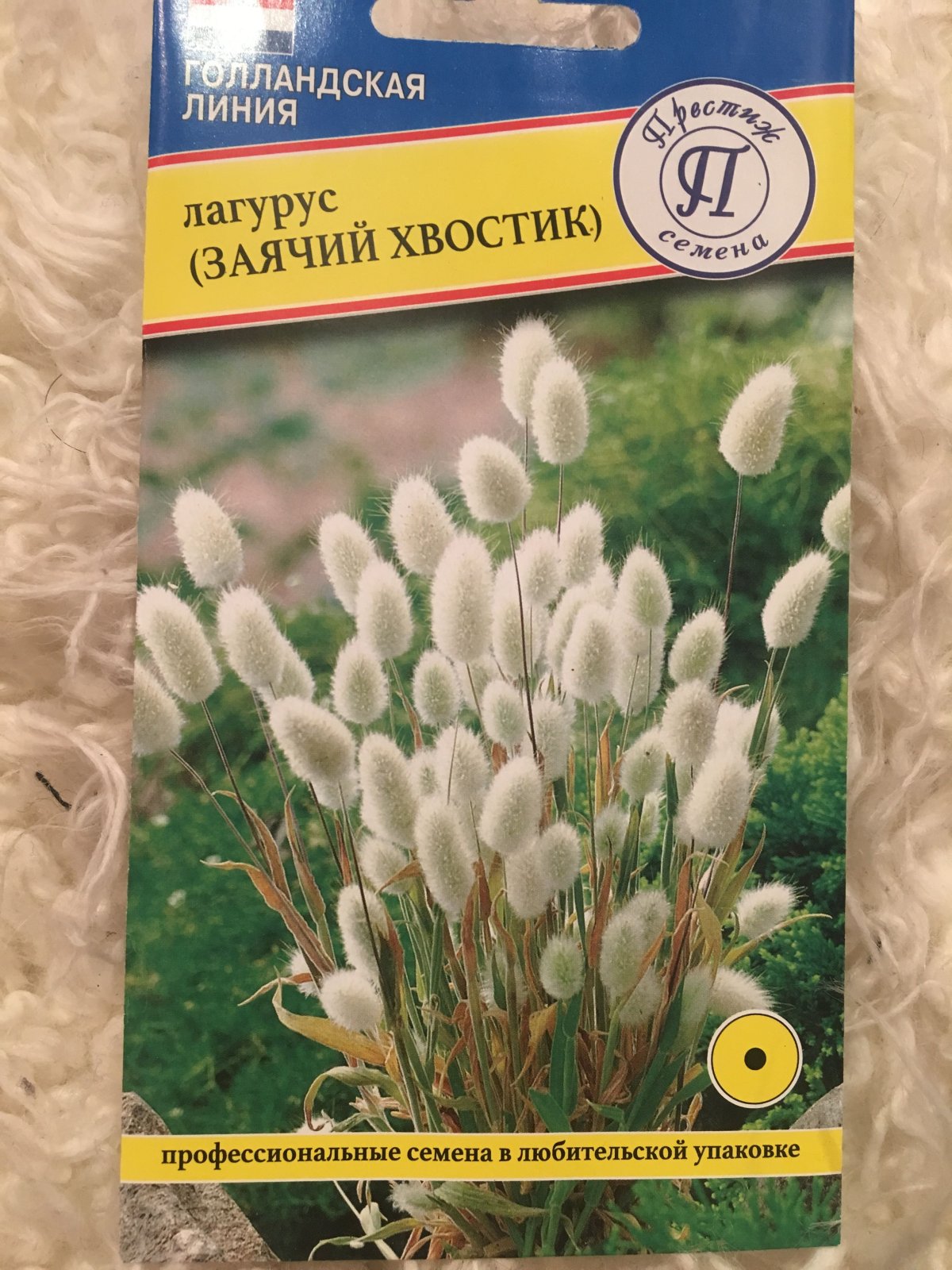Лагурус яйцевидный Леся