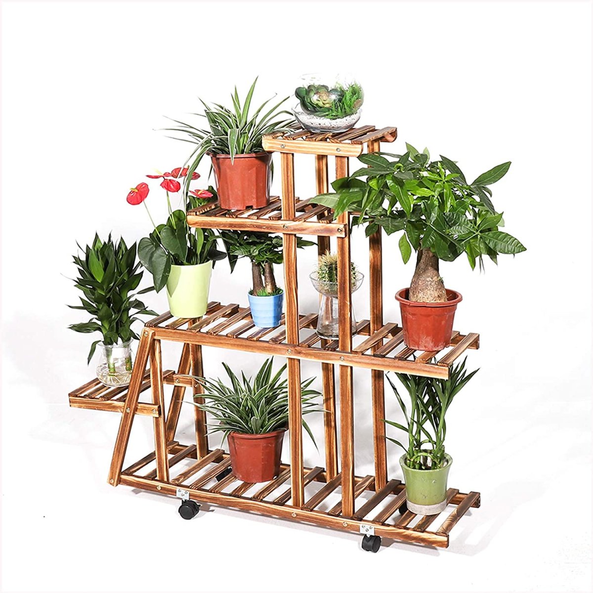 Industrial Style Plants