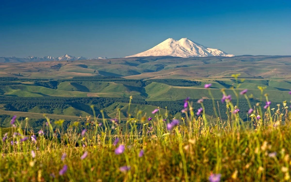 Рододендрон на Бештау