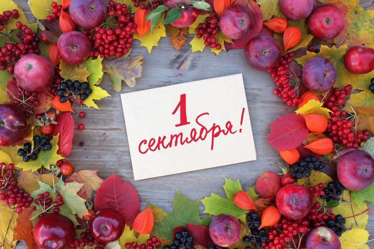 Эстетика оранжевого