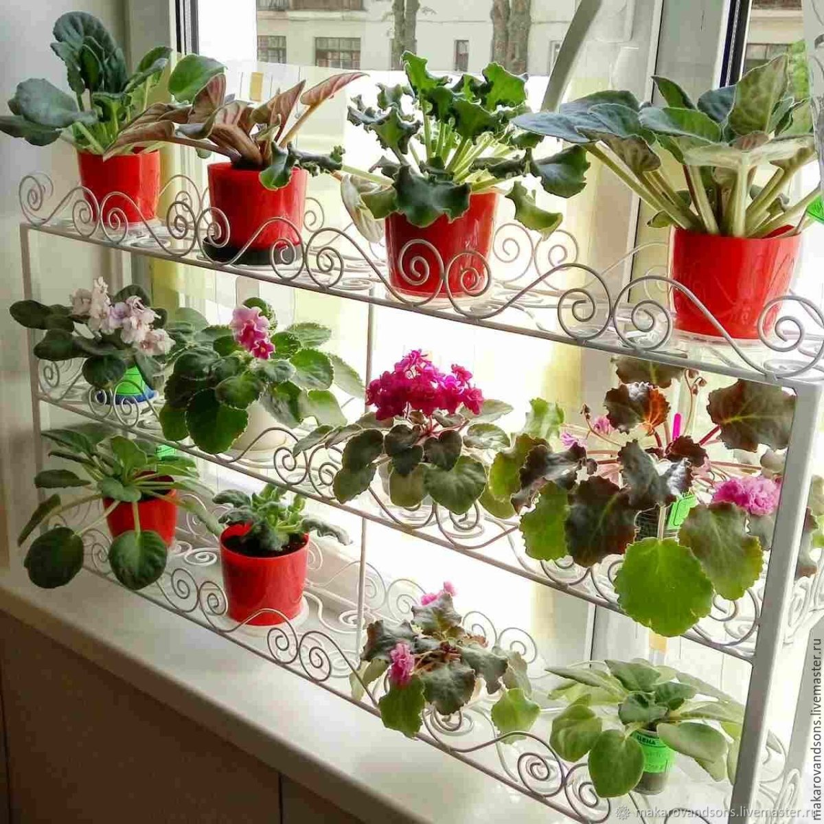 Полочки для фиалок