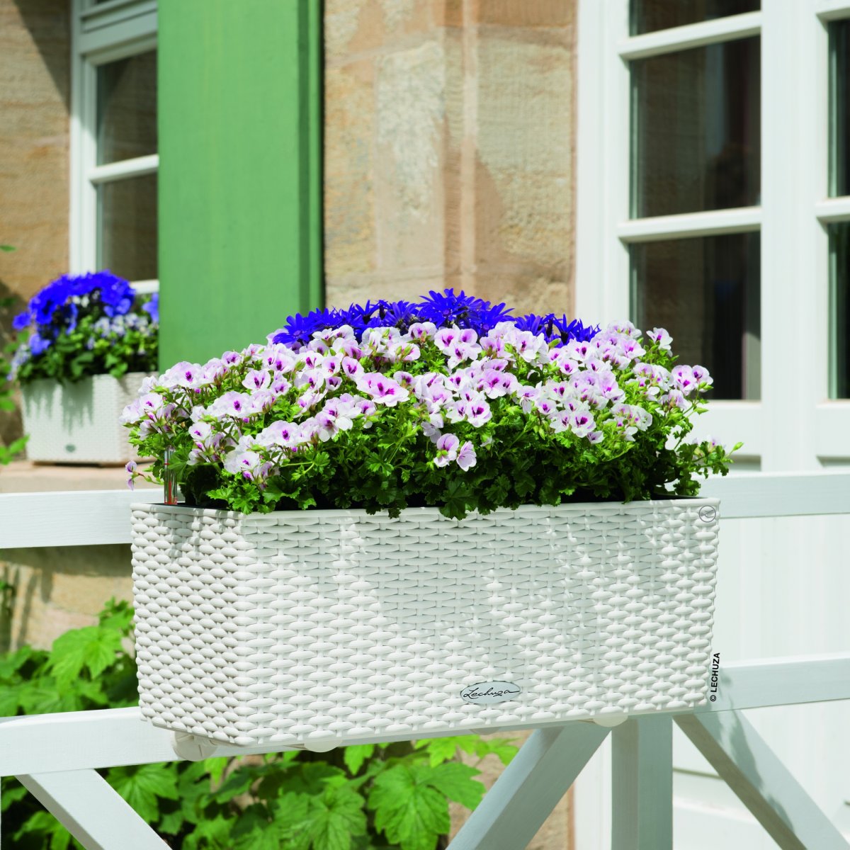Balconera Cottage 50