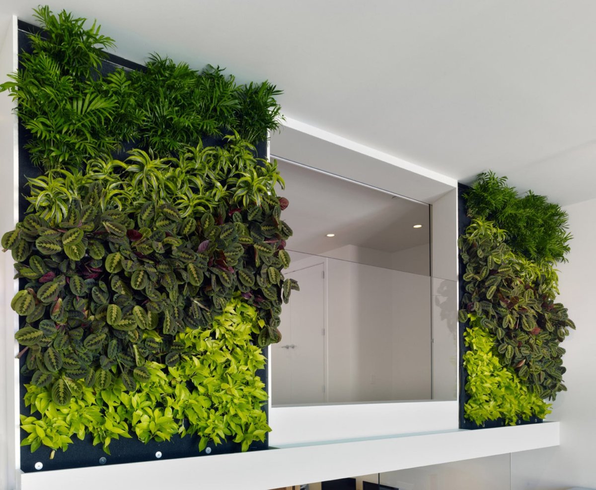 Flatwall фитомодули