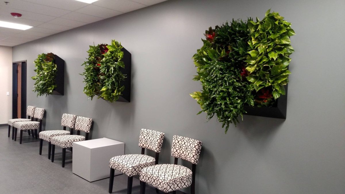 Живые зеленые стены natural Greenwalls