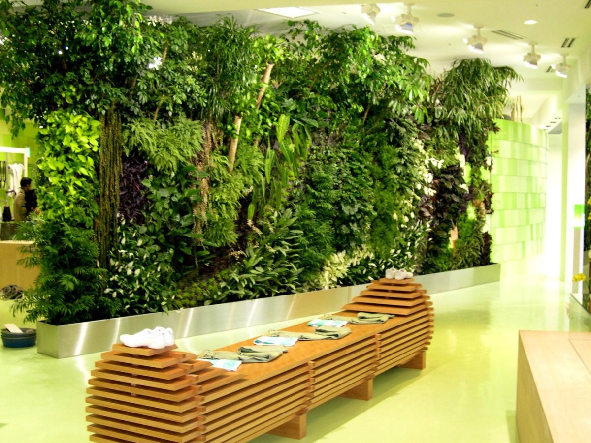 Green Sun фитостены