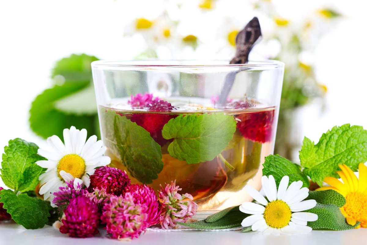Verbena шалфей