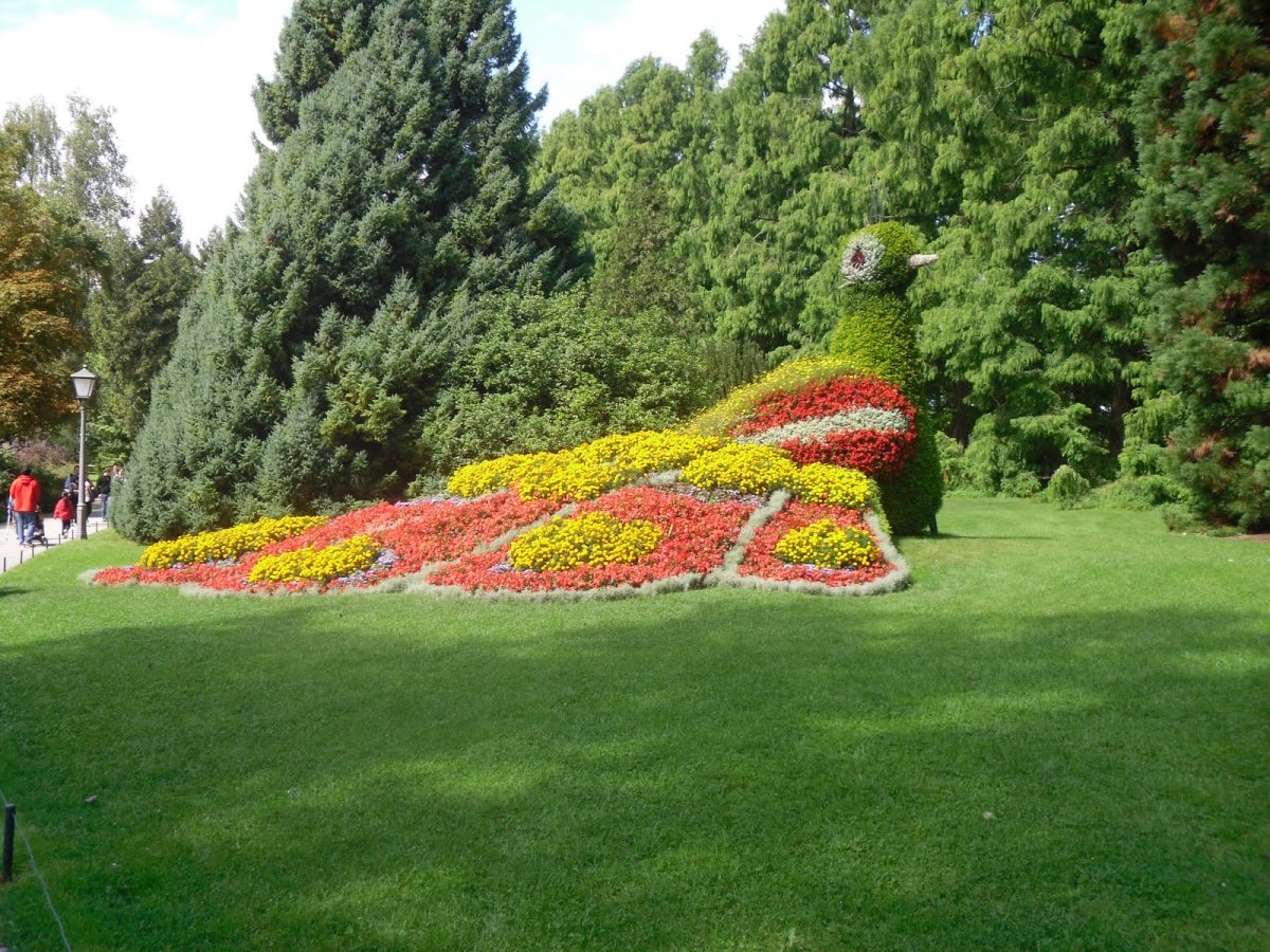 Mainau bog'i