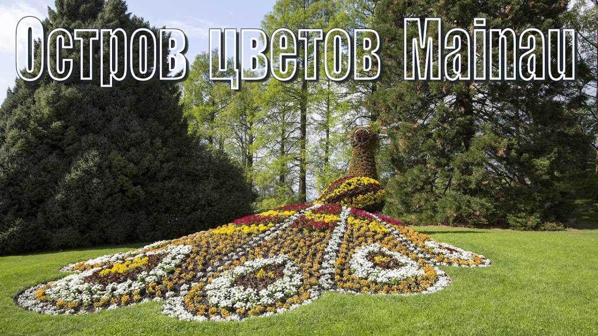 Клумба остров