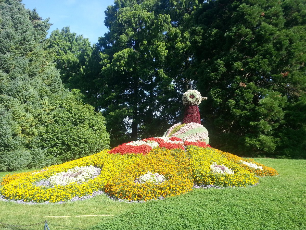 Mainau остров